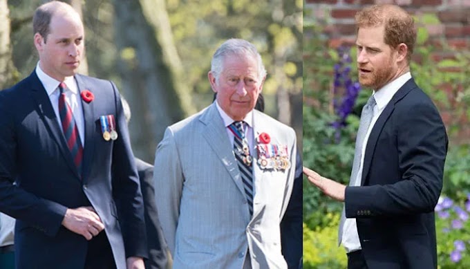  Prince Harry and Prince William's Reunion Supported by King Charles Amidst Family Rift