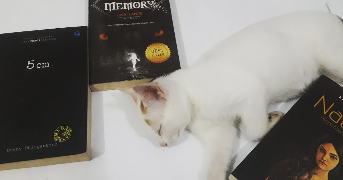 Kucing dan Buku 