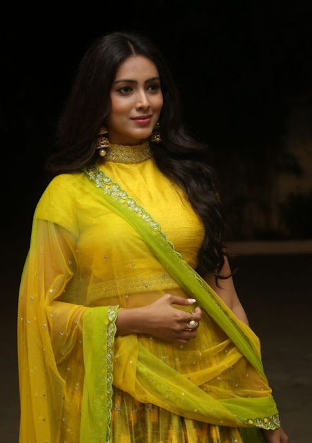 Pallavi Subhash pics in yellow outfits