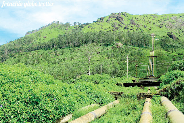 On the way to Munnar, Kerala