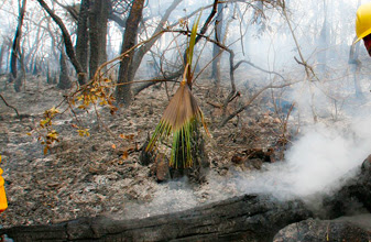 CONAFOR mintió; debe a ejidatarios 1MDP; afectados no participarán este año en combate a incendios forestales