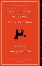 The Curious Incident of the Dog in the Night-Time — Mark Haddon