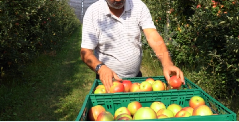 emploi cuilleurs melons