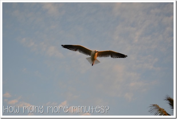 Sunset at Cable Beach | How Many More Minutes?