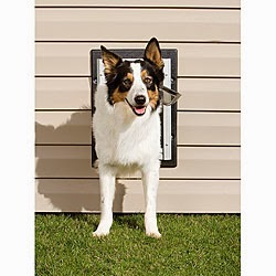 Pet Safe Coupon Code November 2013