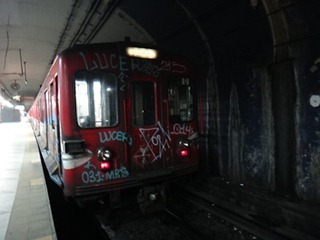 195dev-DSC02253