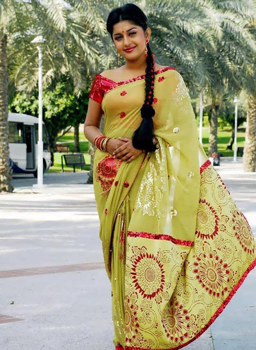 mallu cool meera jasmine in saree photo gallery