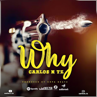AUDIO | Carlos N Tz – Why (Mp3 Audio Download)