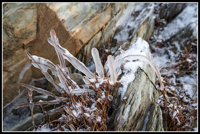 Risser's Beach; Nova Scotia; Maritimes; Atlantic Ocean; Rock; Snow; Ice