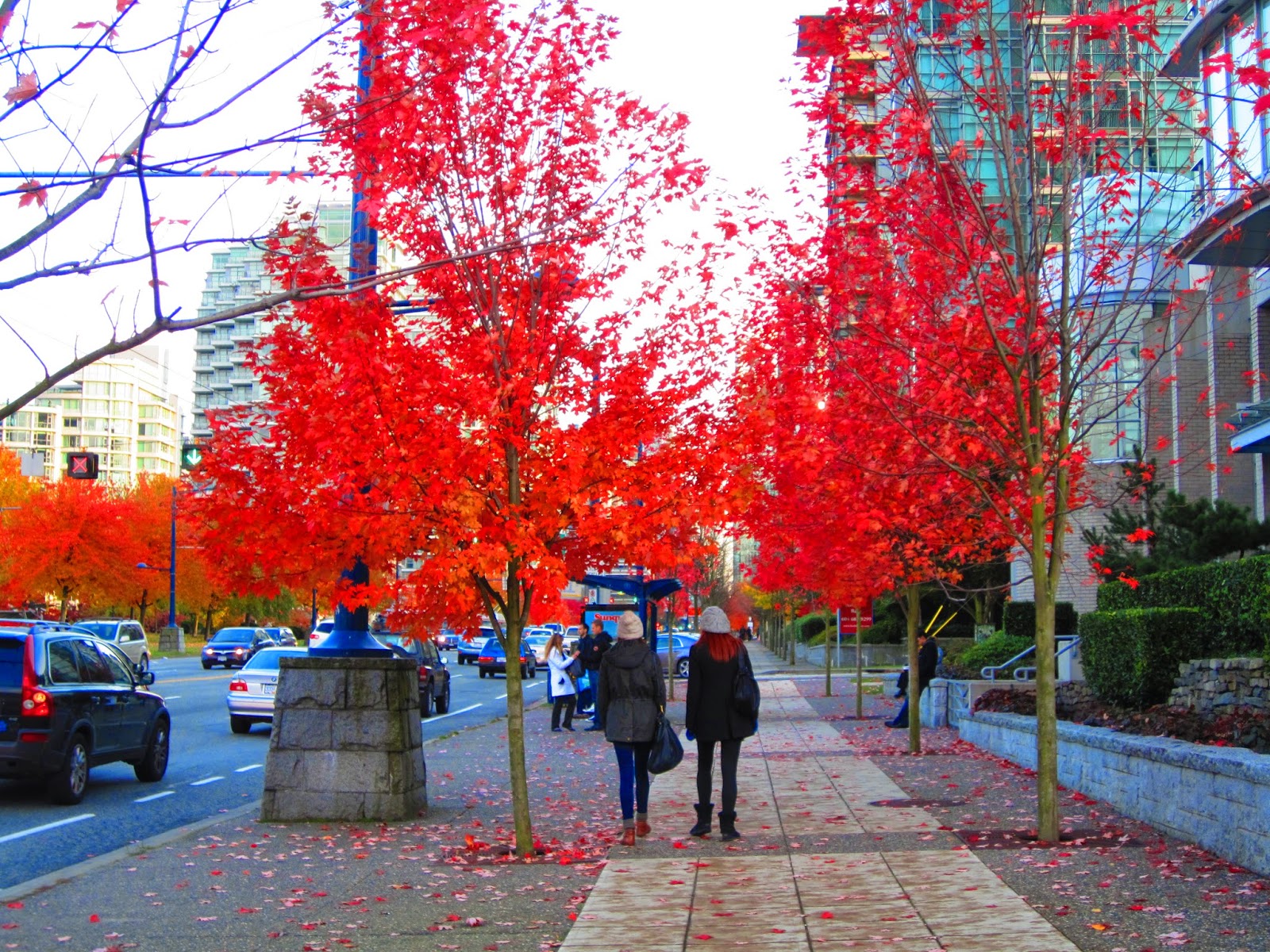 ve-may-bay-di-vancouver-canada