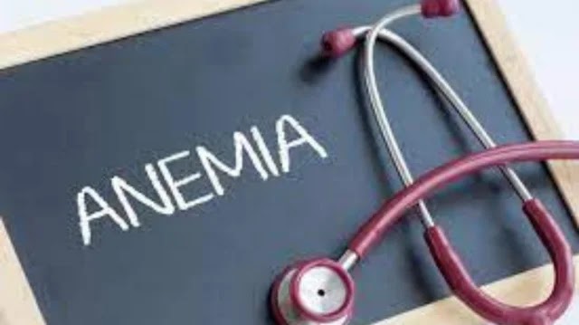 What is the major cause of anemia?