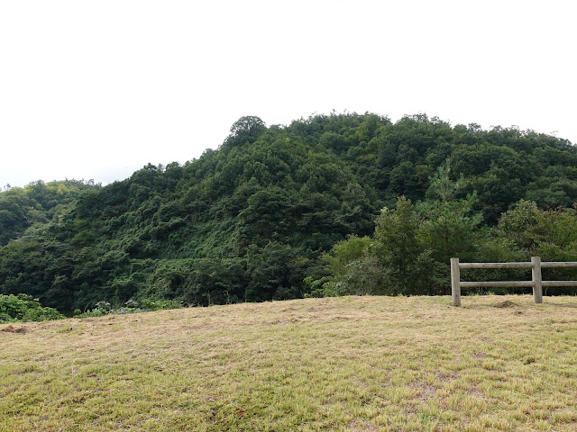 鳥取県道1号溝口伯太線