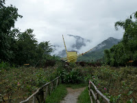 sapa vietnam cosa fare e vedere