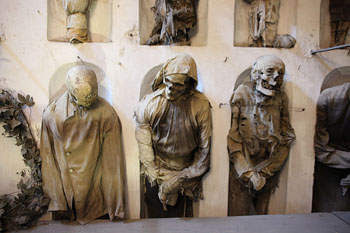  Catacomb Capuchin