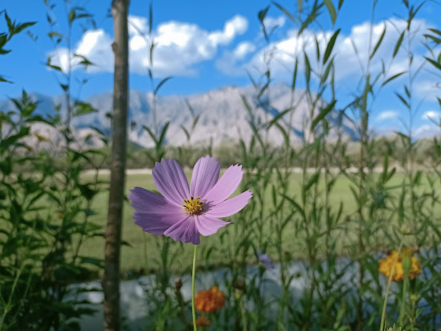 وادی کتپناہ کے خوبصورت مناظر اور وال پیپر Beautiful scenery and wallpapers of Katpanah Valley