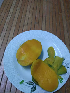 Santai menikmati mangga harum manis