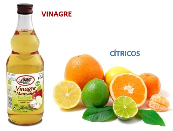 Resultado de imagen para LOS ACIDOS