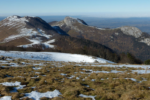  Pène Lise