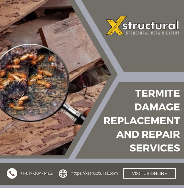 Termite Damage Replacement and Repair Services,