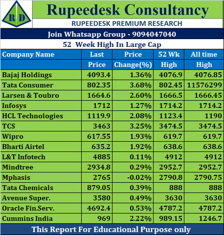 52  Week High In Large Cap