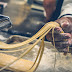 Cook preparing delicious pasta