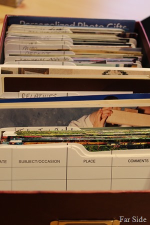 Another photo storage box
