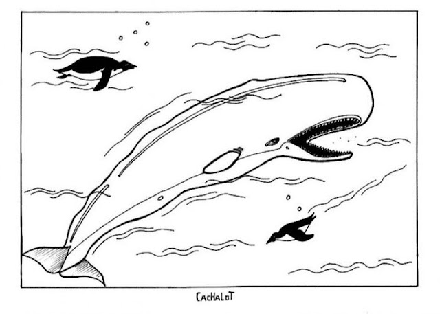 The Incredible Whale Coloring Sheets To Print A Pdf