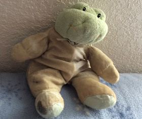 Andy is my daughter's little frog-he is also the source of a great lesson in the worth of human beings.  FREE theology curriculum for kids