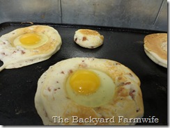 bacon n eggs griddle cakes  - The Backyard Farmwife