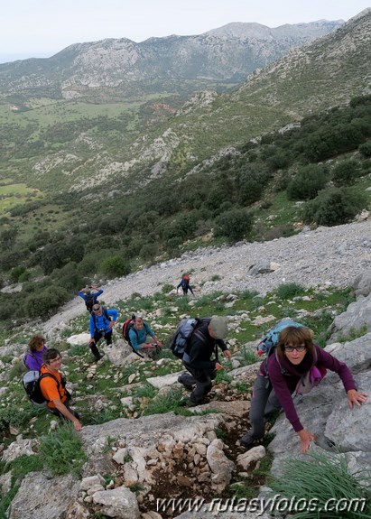 Sierra de los Pinos por las Pulgas