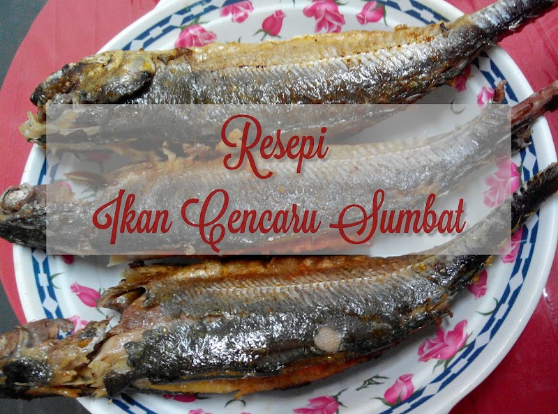 RESEPI IKAN CENCARU SUMBAT SAMBAL SIMPLE & SUP SAYUR DAGING KAW!