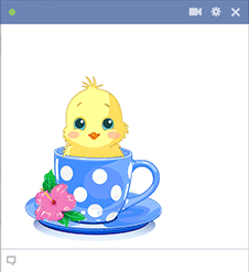 Chick in a cup