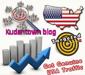 Targeted USA Visitors InTo Your Blog