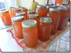 apple cider - The Backyard Farmwife