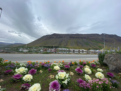 view of boats in water in Isafjordur, Iceland