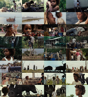 Звери дикого Юга / Beasts of the Southern Wild. 2012.