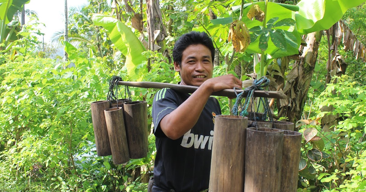 Agroberdikari Kebumen Laru untuk Nira  sebagai Solusi 