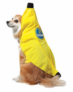 9 Adorable Costumes for Your Pets