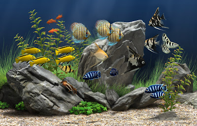 Download screen saver aquarium