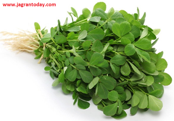 Use Fenugreek for Successful Treatment of Stones