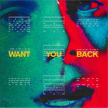  5 Seconds Of Summer - Want You Back