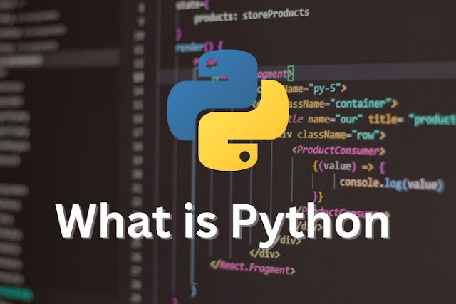 What is python