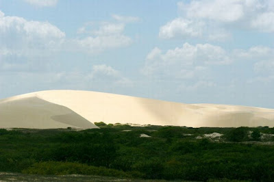 Beautiful Oasis in the Desert Seen On www.coolpicturegallery.us