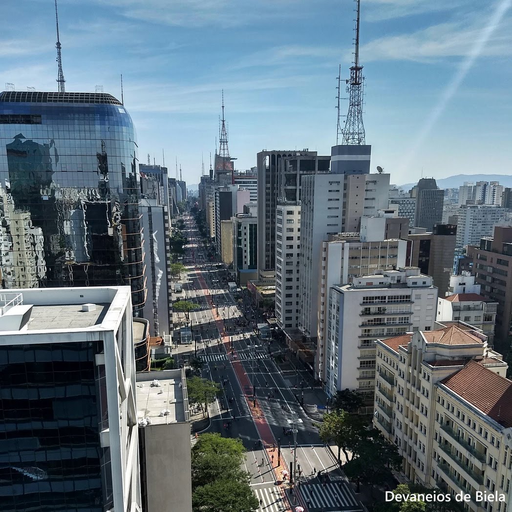 Devaneios de Biela: A vista do Mirante do SESC Avenida Paulista