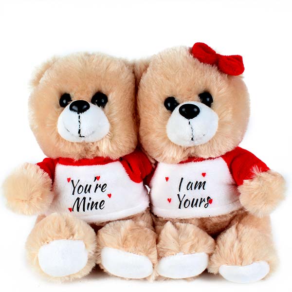 Sweet Teddy Bear Couples