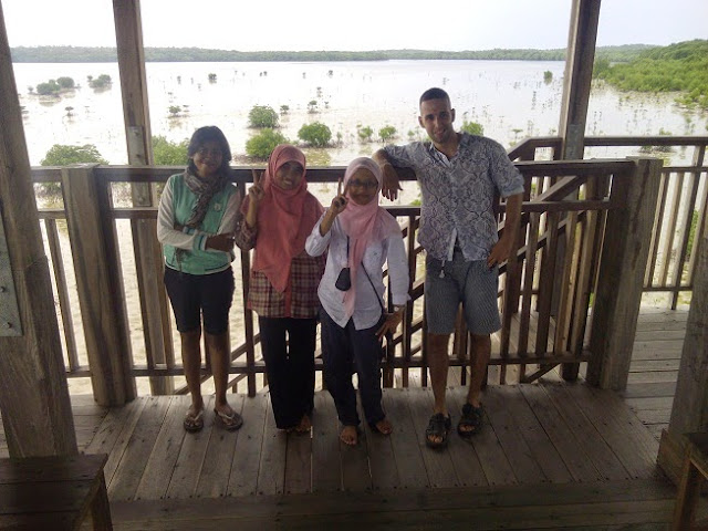 hutan mangrove Karimun