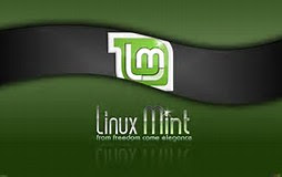 cara setting vpn gratis di linux mint