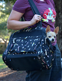 Best in Show backpack dog carrier