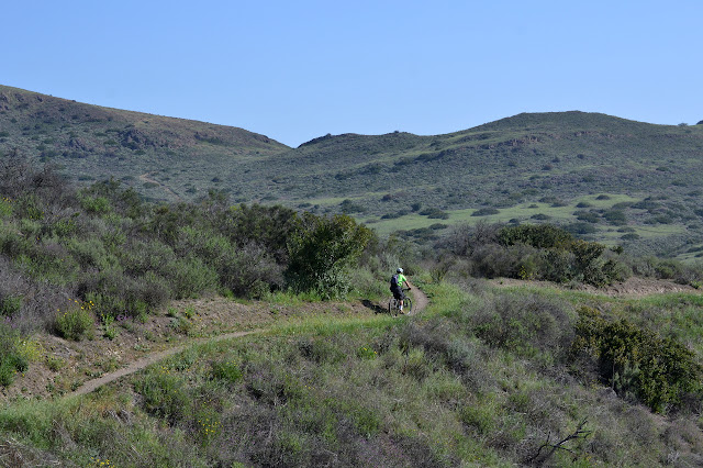 mountain bike on the trail