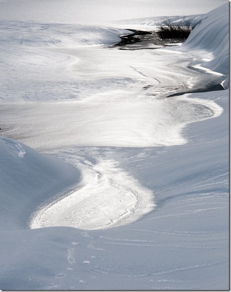 Beaver Lake-6